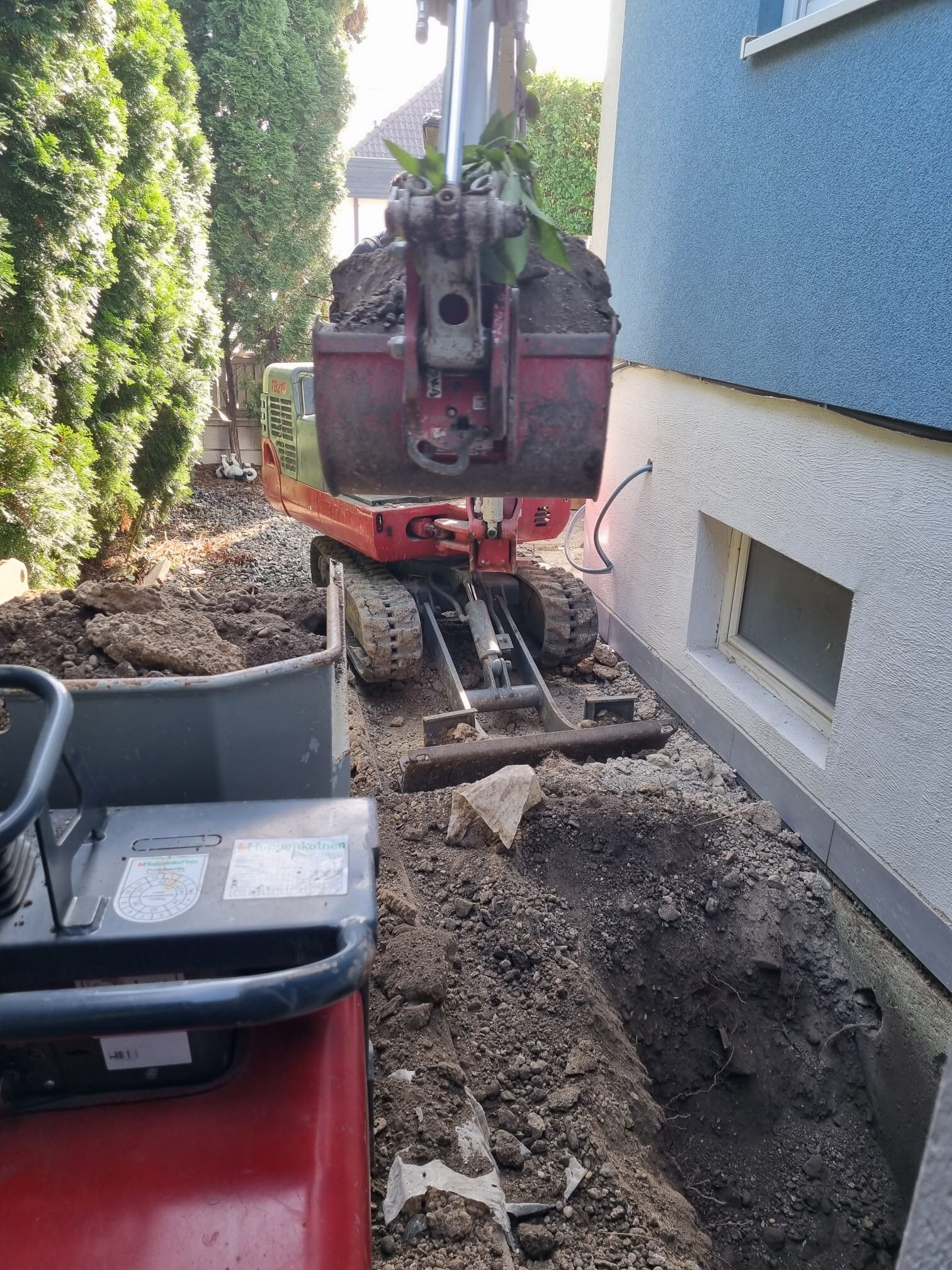 Bagger gräbt einen Wurzelstock im Bezirk Hollabrunn samt Wurzelwerk aus dem Boden und entfernt den alten Baumstumpf