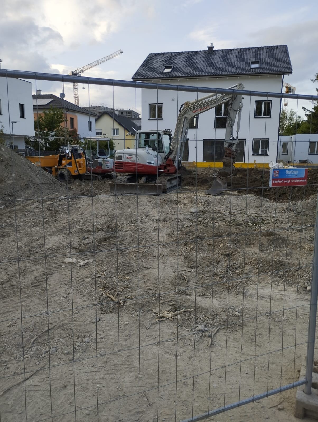 Minibagger graebt im Bezirk Mistelbach eine alte Thujenhecke samt Wurzeln aus, um die Hecke vollstaendig zu entfernen