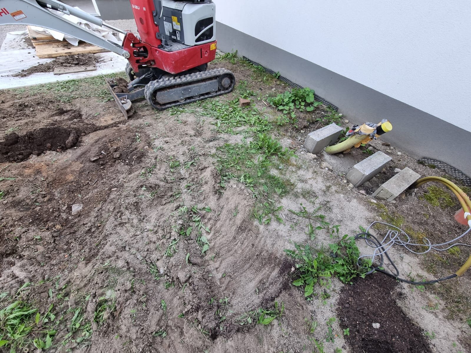 Minibagger gräbt im Bezirk Mödling eine Thujenhecke mit den Wurzeln aus, um die Hecke vollständig zu entfernen