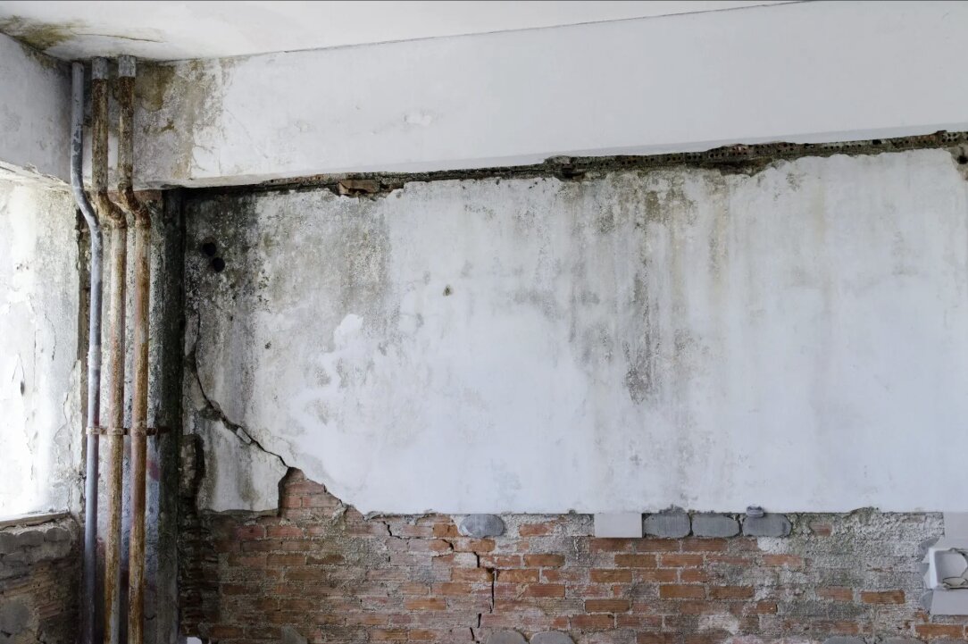 Schimmel im Keller an einer feuchten Wand