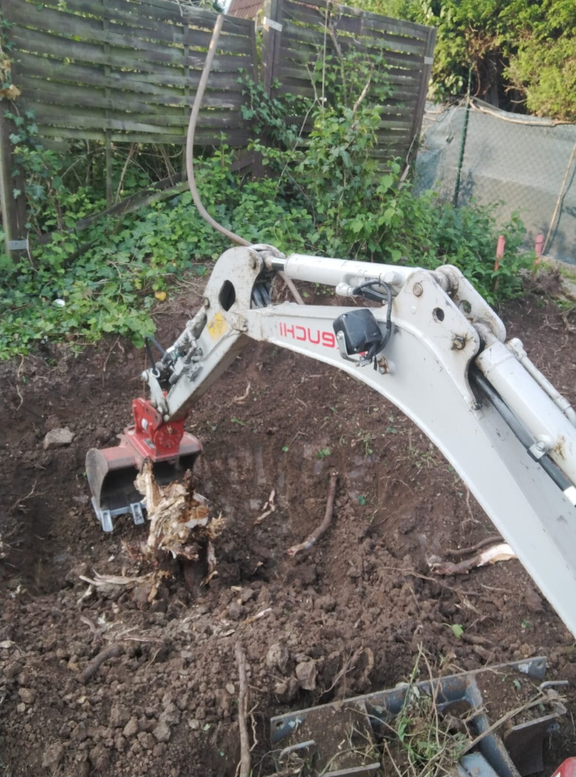 Bagger gräbt im Bezirk Mödling einen alten Wurzelstock samt Wurzelwerk aus dem Boden und entfernt den Baumstumpf
